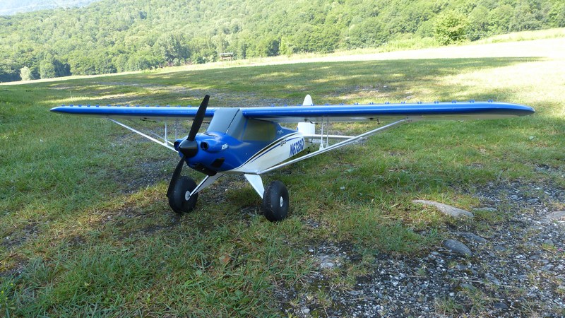 z_cub d'henry